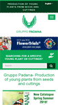 Mobile Screenshot of gruppopadana.com